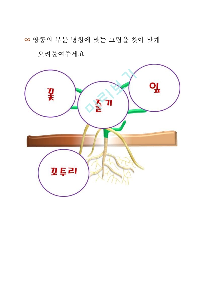 [땅콩]프로젝트 교육계획안.hwp